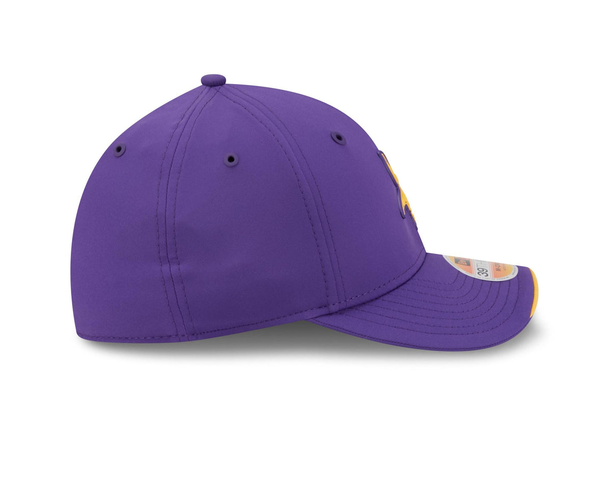 Vikings 2026 New Era Men's 39THIRTY Sideline Hat Pro Football Hall of Fame