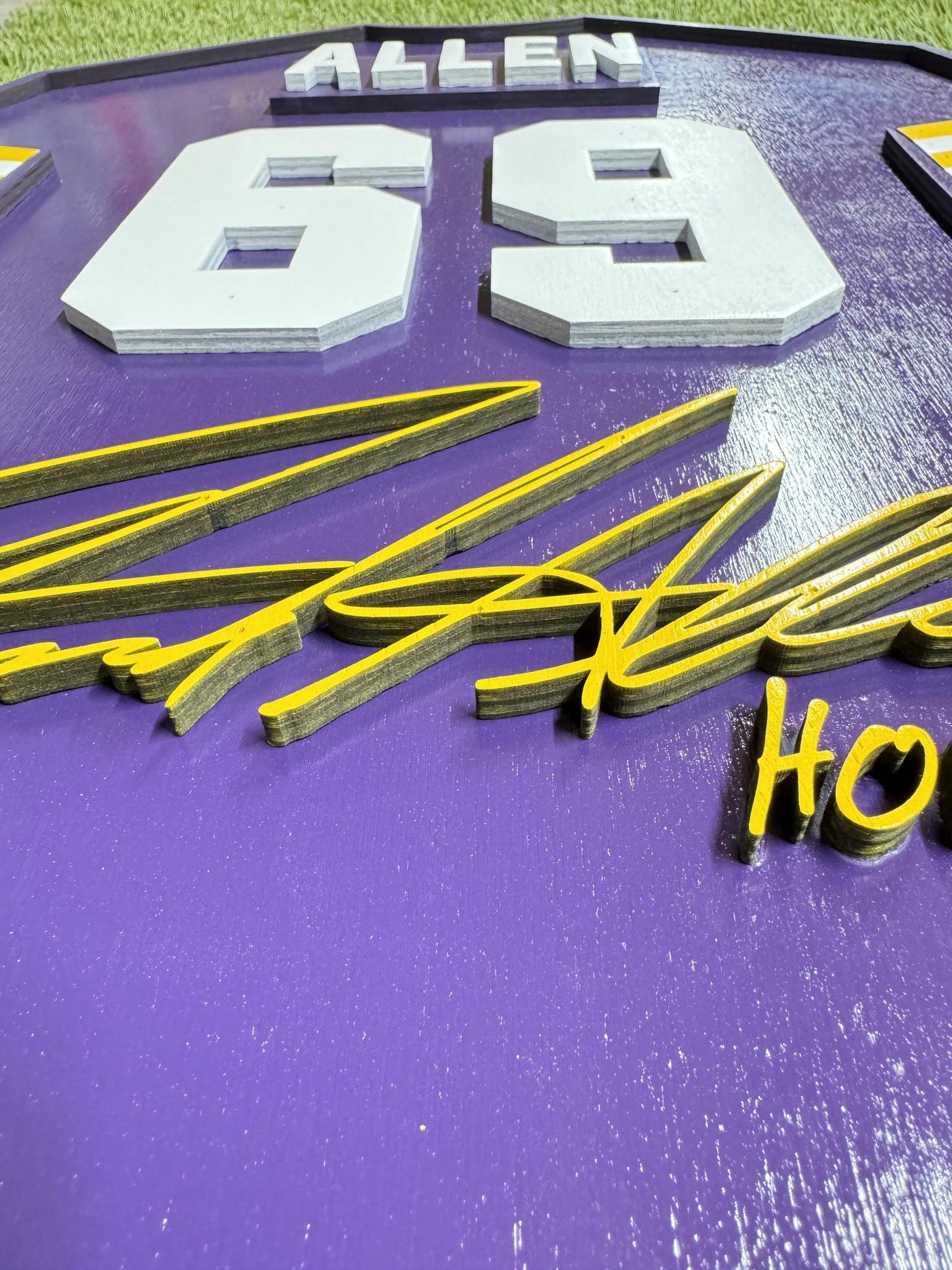 Jared Allen Vikings Class of 2025 Wood Jersey 3D Sign