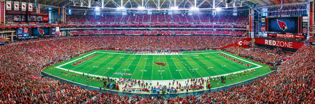 Cardinals 1000pc Panoramic Puzzle