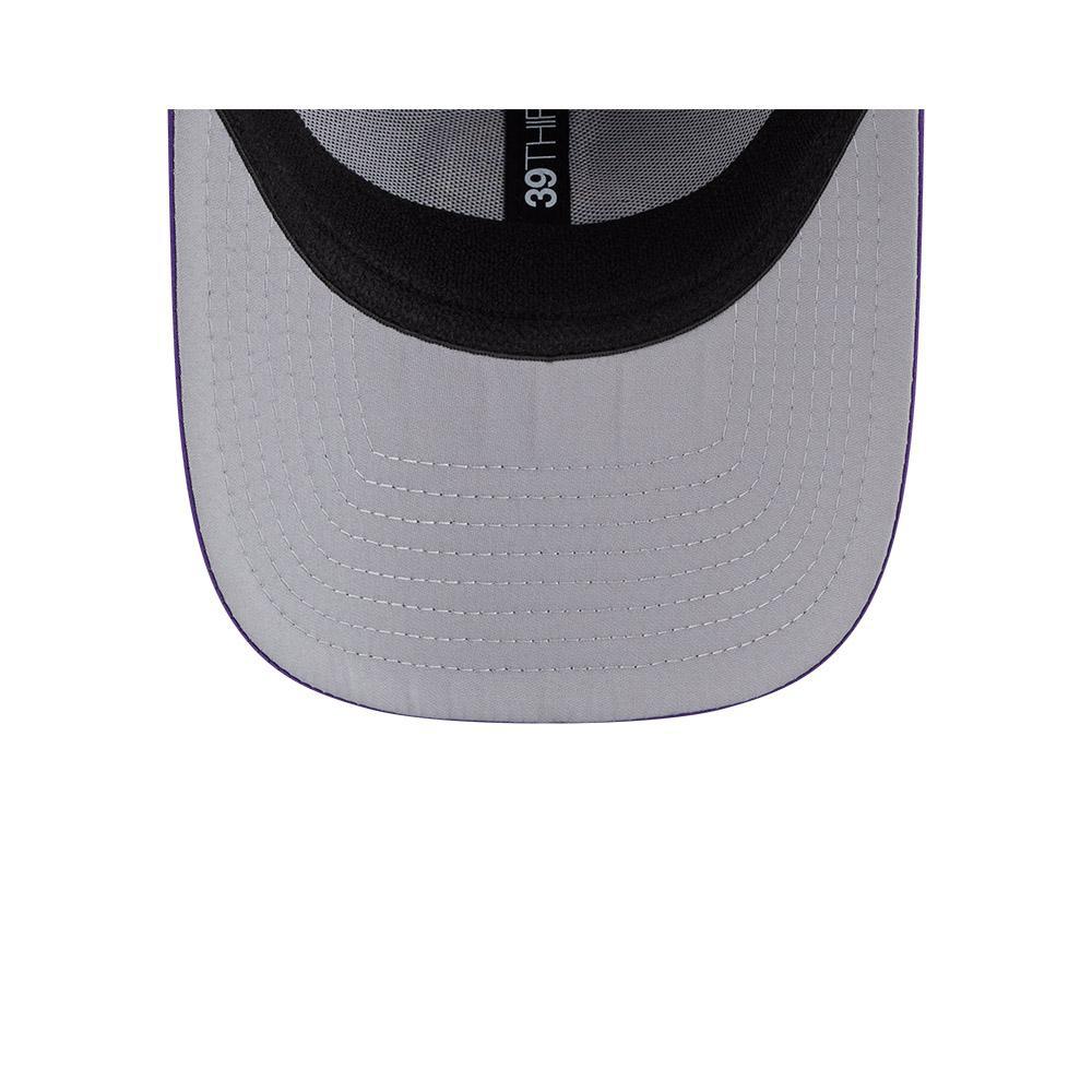 Vikings 2025 New Era Men's 39THIRTY Performance Hat