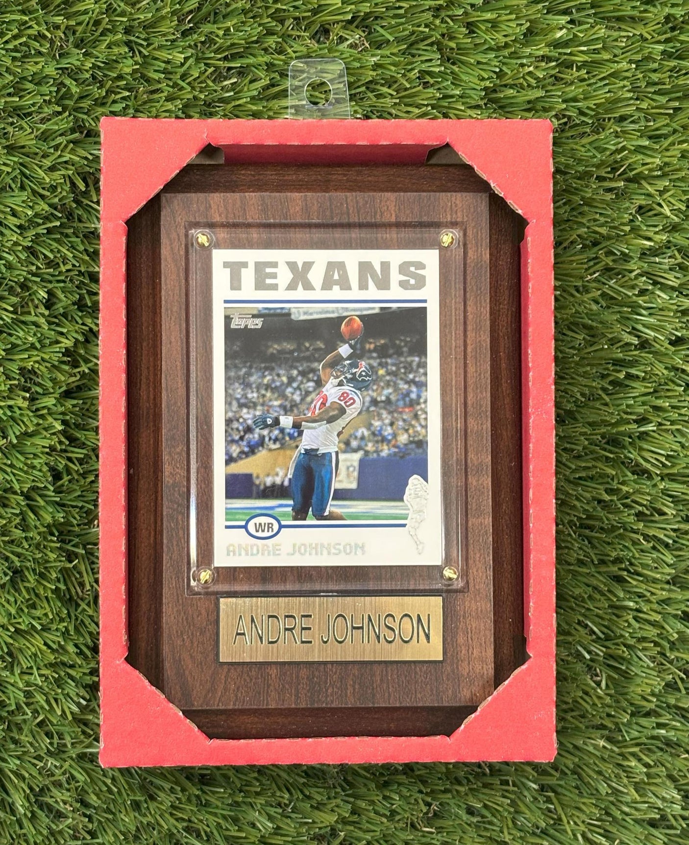 Andre Johnson 4x6 Plaque