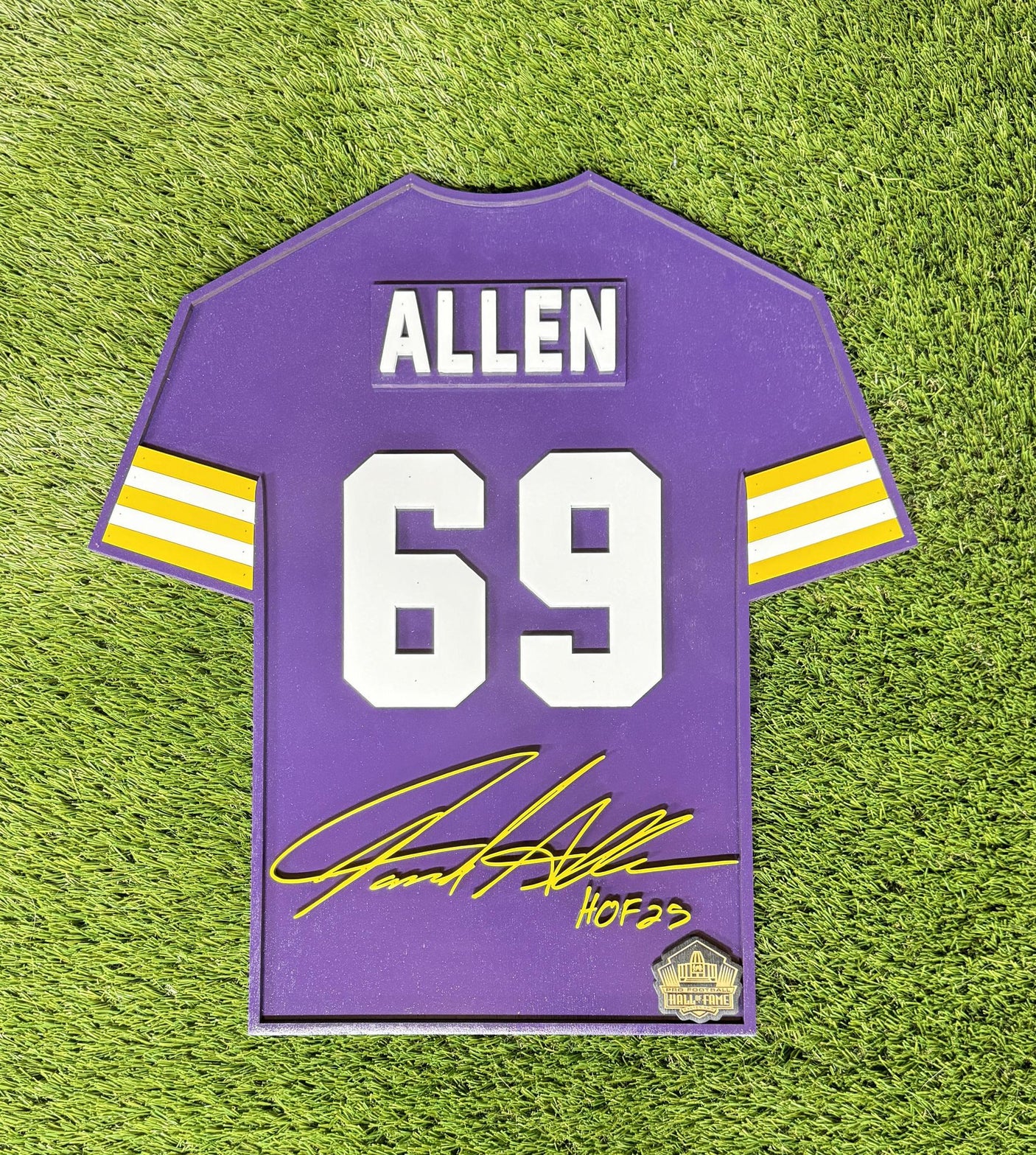 Jared Allen Vikings Class of 2025 Wood Jersey 3D Sign - DS
