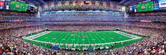 Texans 1000pc Panoramic Puzzle Pro Football Hall of Fame