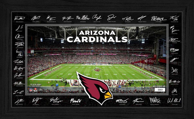 Cardinals 2025 NFL Signature Gridiron