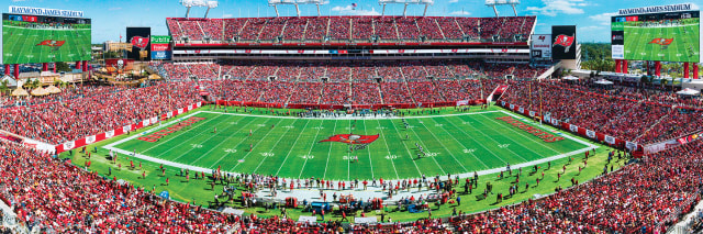 Buccaneers 1000pc Panoramic Puzzle