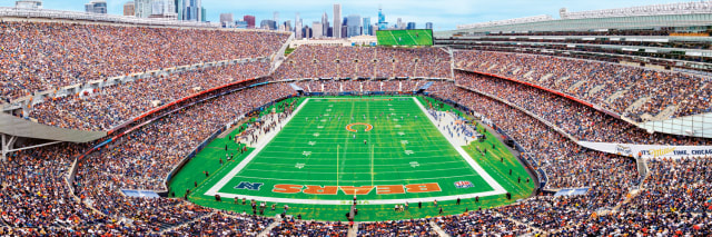Bears 1000pc Panoramic Puzzle- Endzone- DS