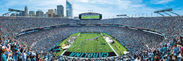 Panthers 1000pc Panoramic Puzzle- Endzone