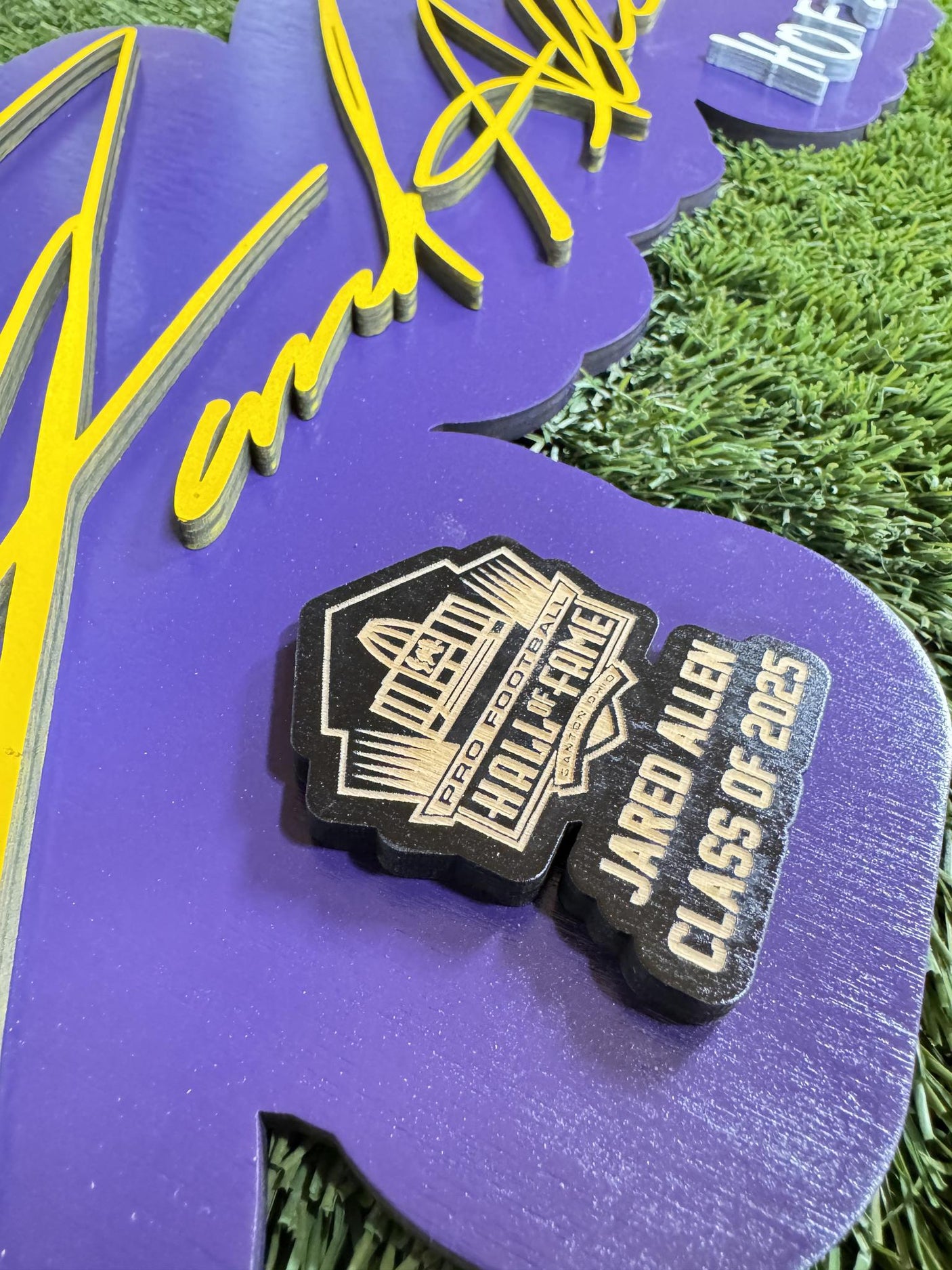 Jared Allen Vikings Class of 2025 3D Signature Color Wall Sign - DS