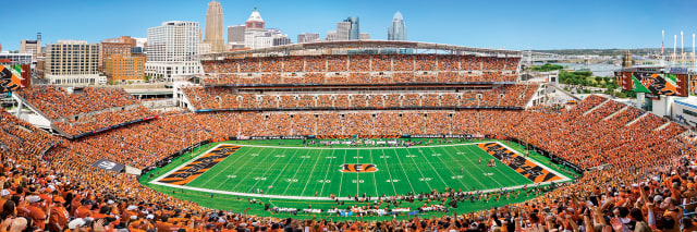Bengals 1000pc Panoramic Puzzle