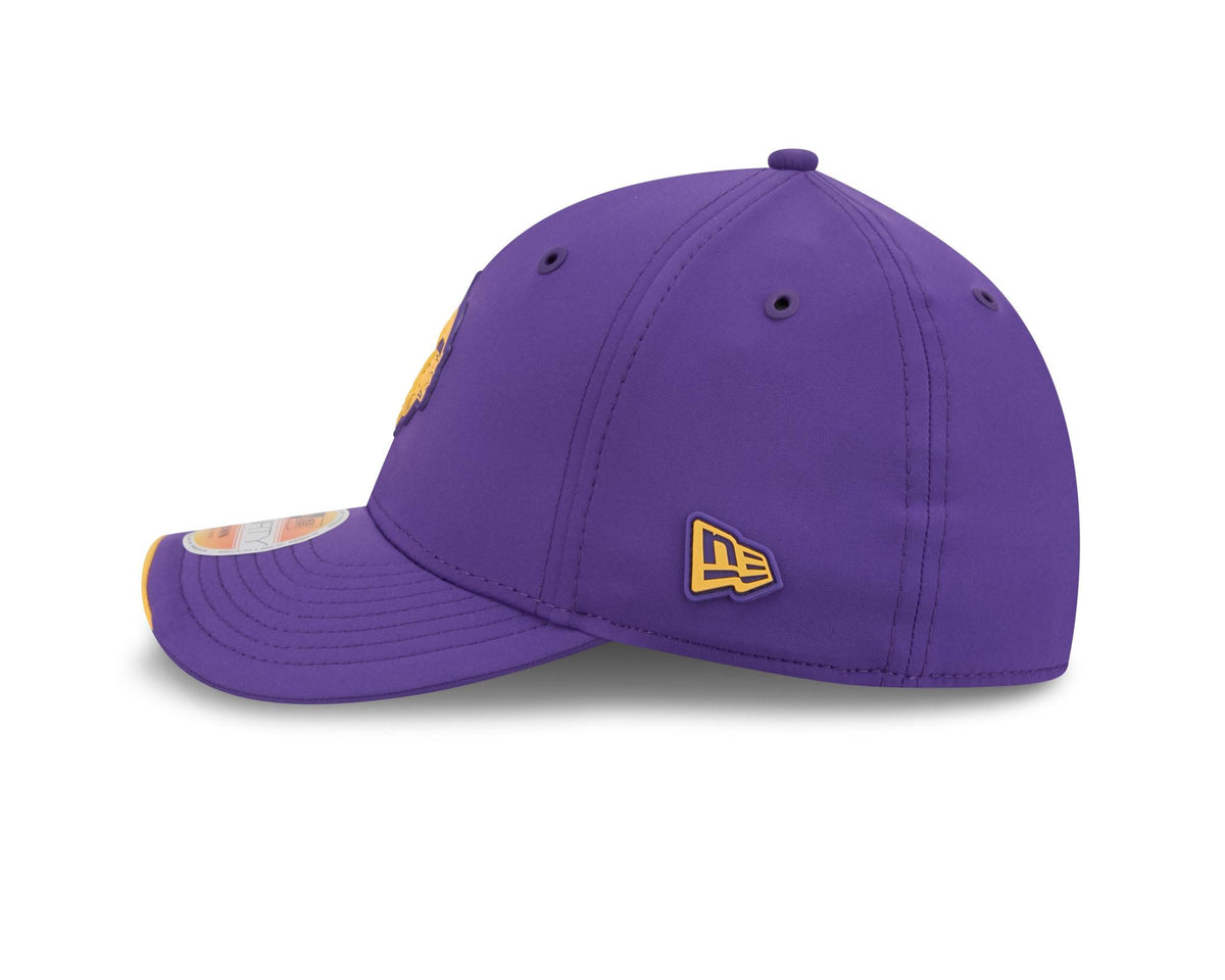 Vikings 2026 New Era Men's 39THIRTY Sideline Hat Pro Football Hall of Fame