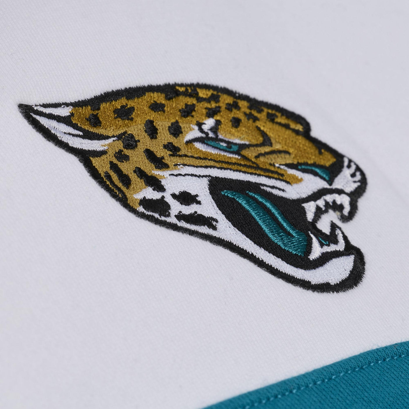 Jaguars 2026 Mitchell & Ness Men's NFL Head Coach Hoodie (10354385289492)
