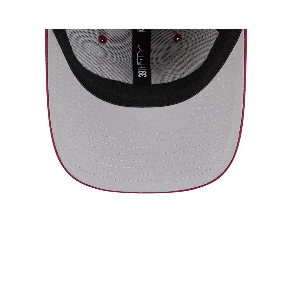 Commanders 2025 New Era Men's 39THIRTY Performance Hat