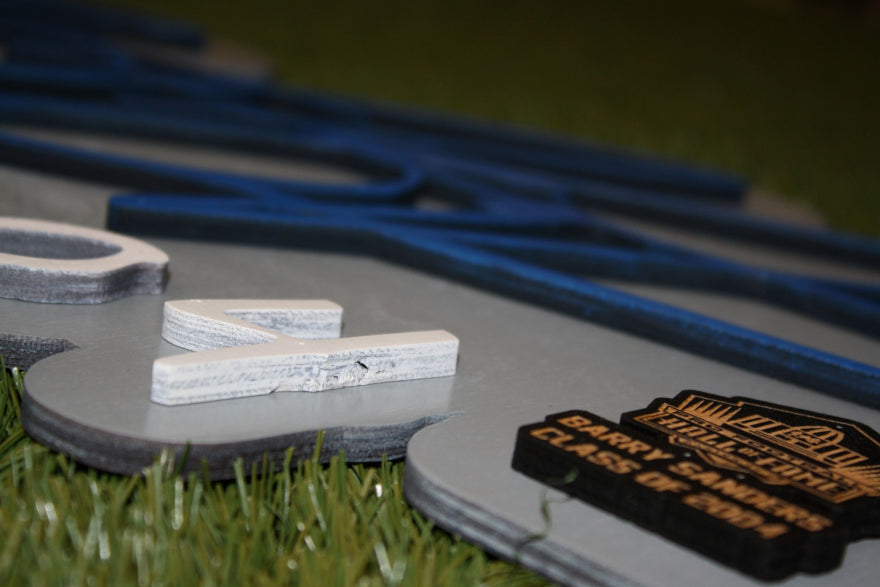 Barry Sanders 3D Signature Alternate Color Wall Sign - DS