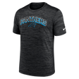 Panthers 2025 Nike Men's Velocity T-Shirt