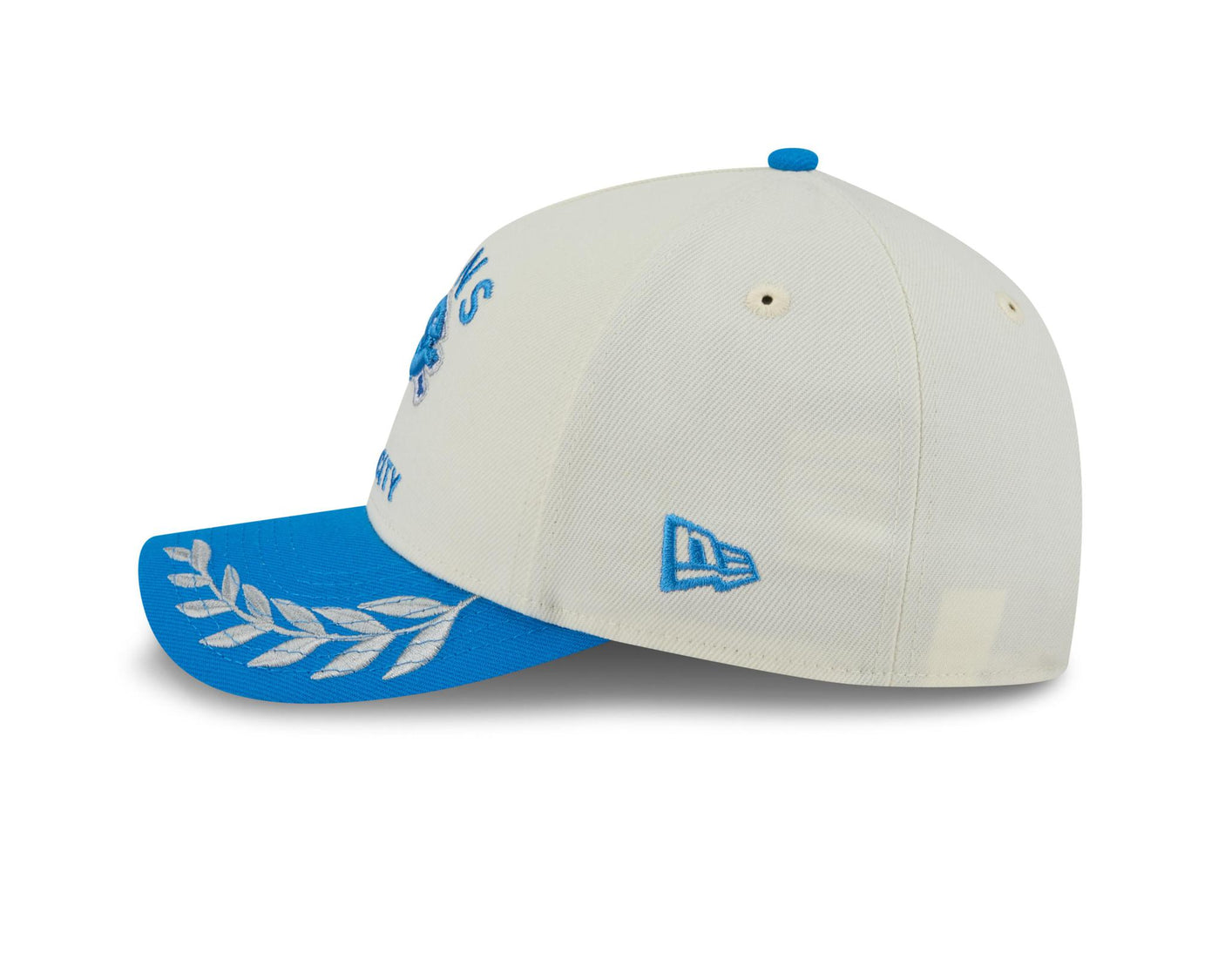 Lions 2025 New Era 9FORTY Stretch Snap Color Way Draft Hat