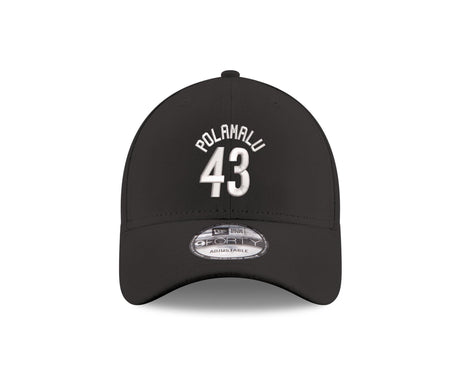 Steelers Troy Polamalu #43 Name and Number Hat