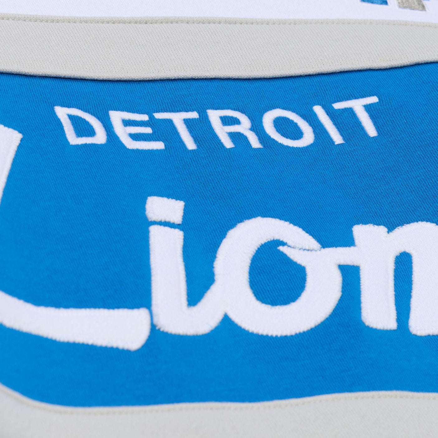 Lions 2026 Mitchell & Ness Men's NFL Head Coach Hoodie (10301136437524)