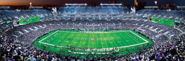 Ravens 1000pc Panoramic Puzzle