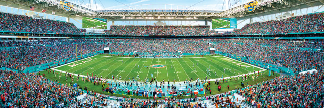 Dolphins 1000pc Panoramic Puzzle- DS
