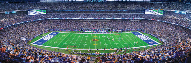 Giants 1000pc Panoramic Puzzle - DS