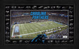 Panthers 2025 NFL Signature Gridiron