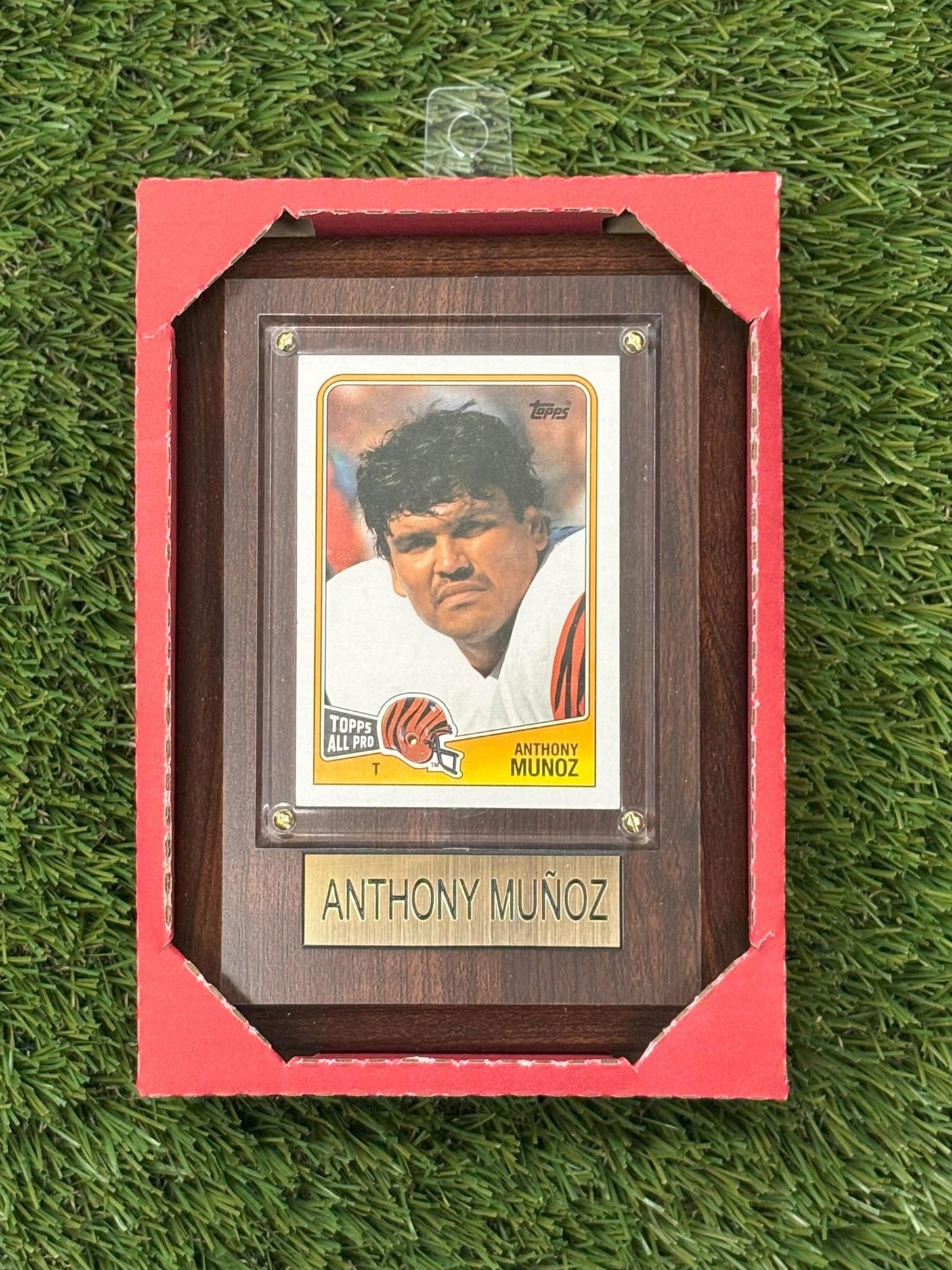 Anthony Muñoz 4x6 Plaque