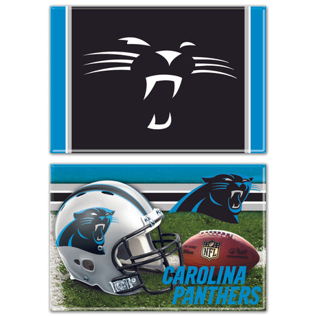 Panthers 2-Pack Rectangle Magnets