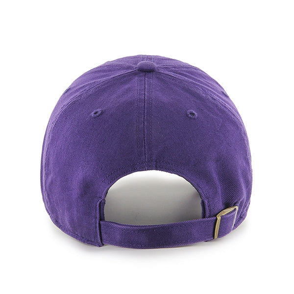Vikings Hall of Fame Clean Up '47 Brand Hat