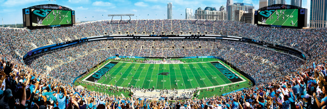Panthers 1000pc Panoramic Puzzle - 50yd line