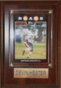 Devin Hester 4x6 Plaque