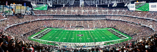 Raiders 1000pc Panoramic Puzzle - 50yd line- DS