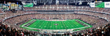 Raiders 1000pc Panoramic Puzzle - 50yd line- DS