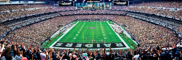 Raiders 1000pc Panoramic Puzzle- Endzone