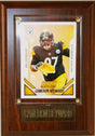 Cameron Heyward 4x6 Plaque