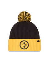 Steelers 2024 New Era Inspire Change Knit