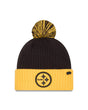 Steelers 2024 New Era Inspire Change Knit