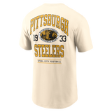 Steelers 2026 Nike Men's Freestyle Essential T-Shirt
