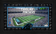 Panthers 2025 NFL Signature Gridiron Pro Football Hall of Fame