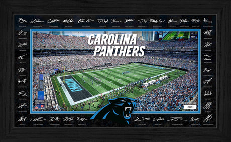 Panthers 2025 NFL Signature Gridiron Pro Football Hall of Fame