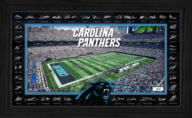 Panthers 2025 NFL Signature Gridiron Pro Football Hall of Fame