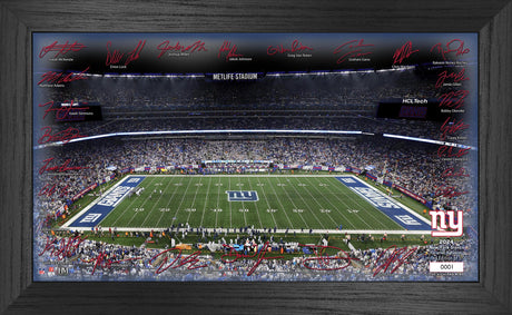 New York Giants 2024 NFL Signature Gridiron