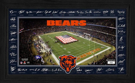 Bears 2025 NFL Signature Gridiron