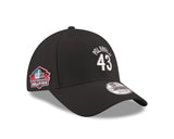 Steelers Troy Polamalu #43 Name and Number Hat
