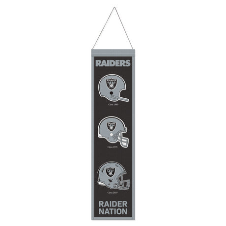 Raiders Evolution Banner