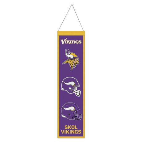 Vikings Evolution Banner