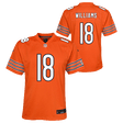 Bears Caleb Williams Alternate Youth Nike Game Jersey Pro Football Hall of Fame