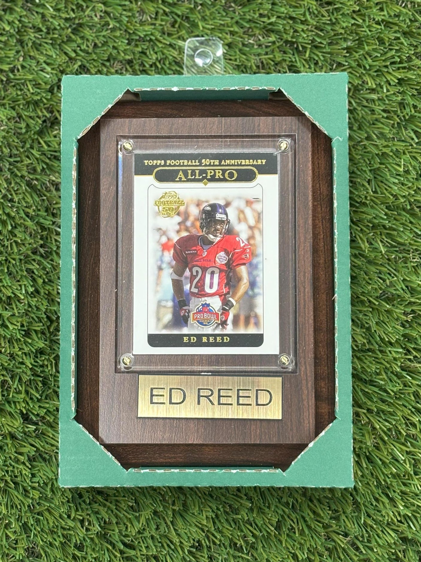 Ed Reed 4x6 Plaque
