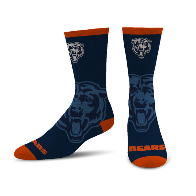 Bears Still Fly Sock