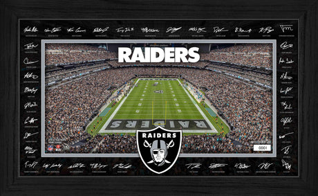 Raiders NFL Signature Gridiron Pro Football Hall of Fame