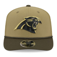 Panthers 2025 New Era Men's 9SEVENTY Salute to Service Hat